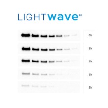 LIGHT WAVE ECL Substrate